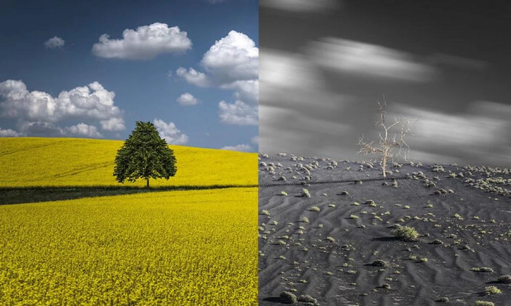 Απίστευτο! Δεν κάνουν παιδιά λόγω της κλιματικής αλλαγής